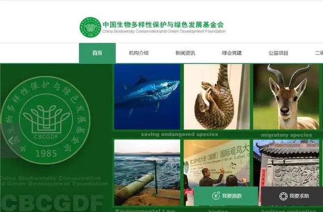 多黑料被扒父亲背景不一般绿发会受牵连凯发app网站哈佛蒋雨融事升级！更(图21)