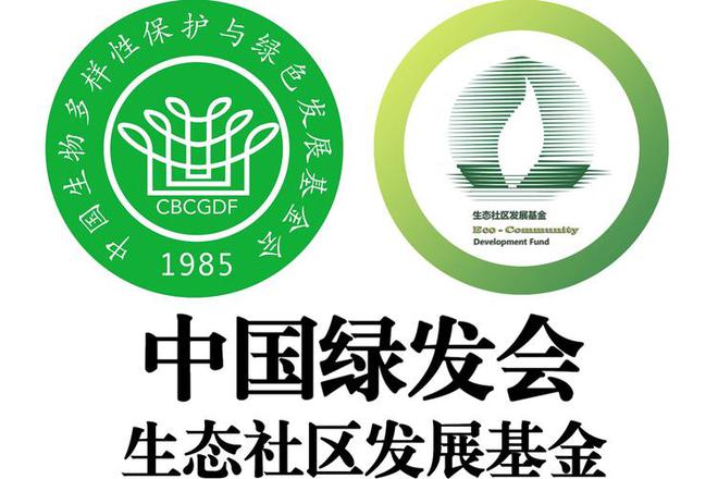 多黑料被扒父亲背景不一般绿发会受牵连凯发app网站哈佛蒋雨融事升级！更(图19)